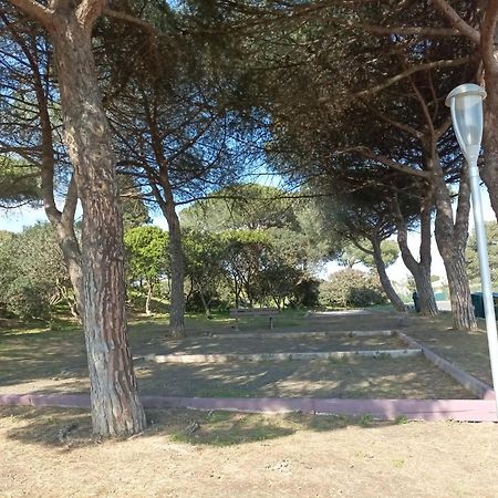 Appartamento Lara 3 - T2 Loggia Piscine 2 Lits Doubles Parking Pres Du Centre-Port Et Ile Loisirs Agde Esterno foto