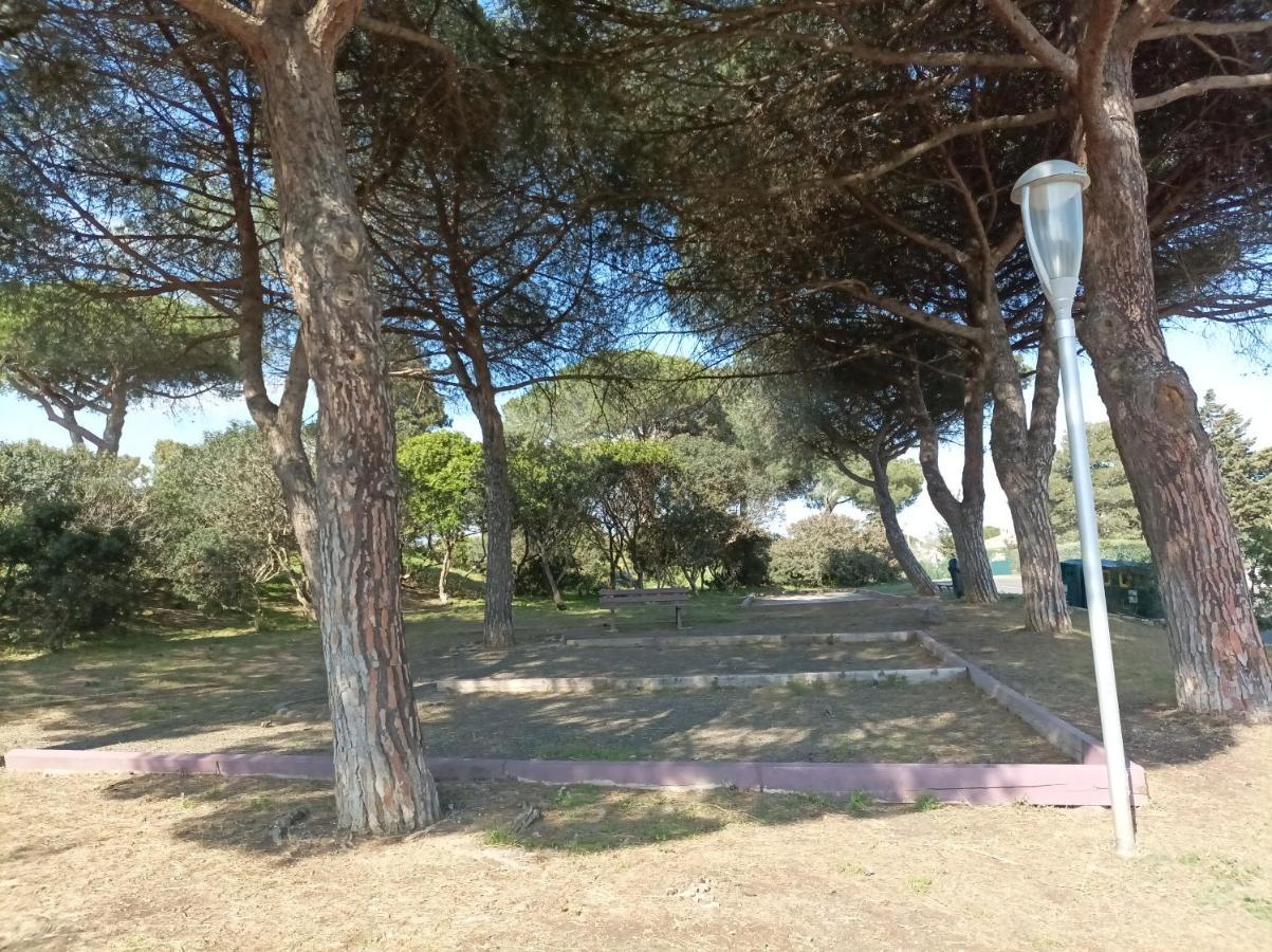Appartamento Lara 3 - T2 Loggia Piscine 2 Lits Doubles Parking Pres Du Centre-Port Et Ile Loisirs Agde Esterno foto